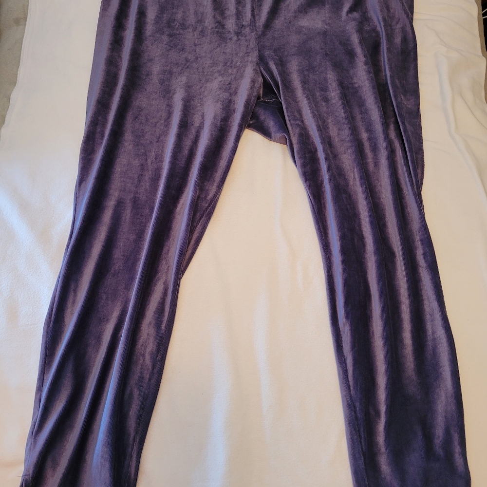 (4X)  Blue Velvet Pants